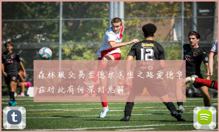 森林狼交易兰德尔求生之路爱德华兹对此有何深刻见解